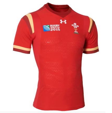15 gales camiseta rugby